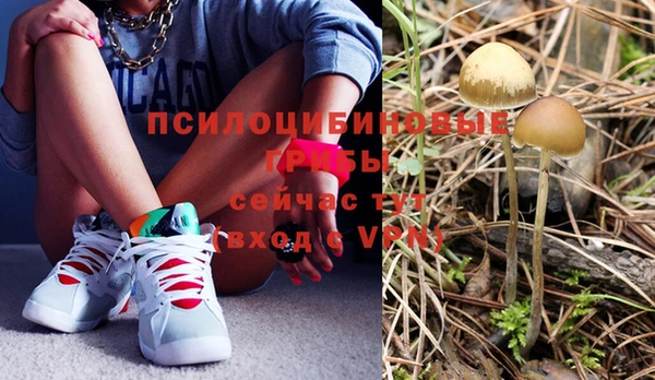 мяу мяу мука Кодинск