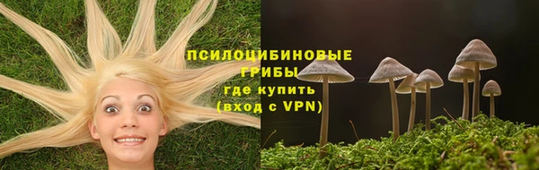 мяу мяу мука Кодинск