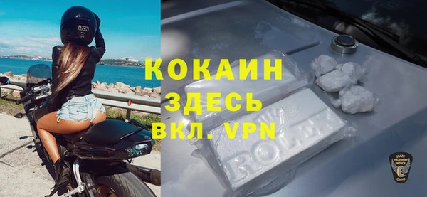 мяу мяу мука Кодинск